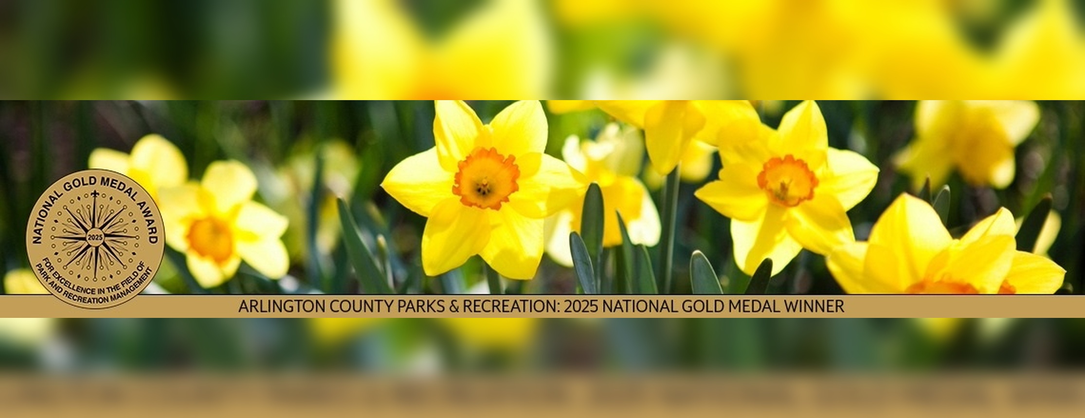 Arlington Parks and Rec